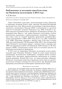 Наблюдения за весенним пролётом птиц на Онежском полуострове в 2013 году