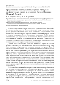 Вредоносная деятельность сороки Pica pica во фруктовых садах и огородах Катон-Карагая (Южный Алтай)