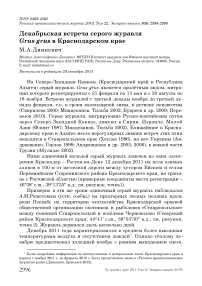 Декабрьская встреча серого журавля Grus grus в Краснодарском крае