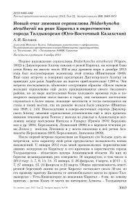 Новый очаг зимовки серпоклюва Ibidorhyncha struthersii на реке Каратал в окрестностях города Талдыкорган (Юго-Восточный Казахстан)