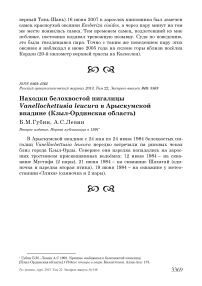 Находки белохвостой пигалицы Vanellochettusia leucura в Арыскумской впадине (Кзыл-Ординская область)