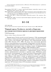 Чёрный дрозд Turdus m. merula в Карелии на северо-восточном пределе распространения