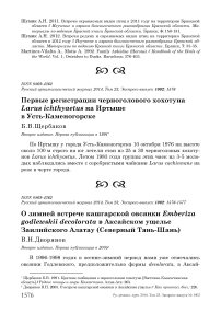 О зимней встрече кашгарской овсянки Emberiza godlewskii decolorata в Аксайском ущелье Заилийского Алатау (Северный Тянь-Шань)