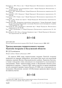 Третья находка черноголового чекана Saxicola torquata в Калужской области