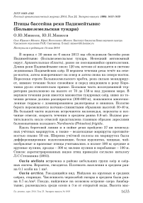 Птицы бассейна реки Падимейтывис (Большеземельская тундра)