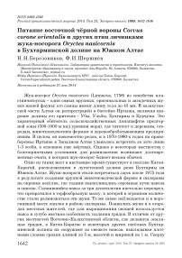 Питание восточной чёрной вороны Corvus corone orientalis и других птиц личинками жука-носорога Oryctes nasicornis в Бухтарминской долине на Южном Алтае