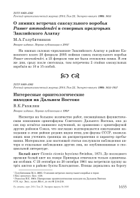 О зимних встречах саксаульного воробья Passer ammodendri в северных предгорьях Заилийского Алатау