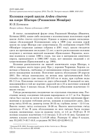 Колония серой цапли Ardea cinerea на озере Шагара (Рязанская Мещёра)