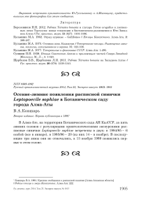 Осенне-зимние появления расписной синички Leptopoecile sophiae в ботаническом саду города Алма-Аты