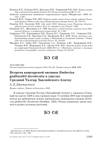 Встреча кашгарской овсянки Emberiza godlewskii decolorata в ущелье Средний Талгар Заилийского Алатау