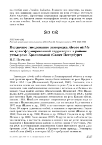 Неудачное гнездование зимородка Alcedo atthis на трансформированной территории в районе устья реки Красненькой (Санкт-Петербург)