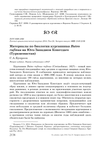 Материалы по биологии курганника Buteo rufinus на Юго-Западном Копетдаге (Туркменистан)