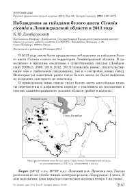 Наблюдения за гнёздами белого аиста Ciconia ciconia в Ленинградской области в 2013 году