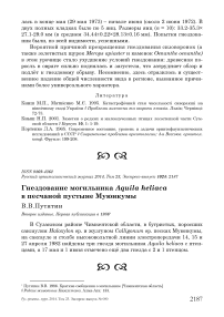 Гнездование могильника Aquila heliaca в песчаной пустыне Муюнкумы