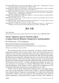 Залёт чёрного аиста Ciconia nigra в окрестности Нижне-Свирского заповедника