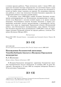 Нахождения белохвостой пигалицы Vanellochettusia leucura в Волжско-Уральском междуречье