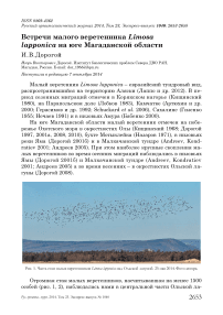 Встречи малого веретенника Limosa lapponica на юге Магаданской области