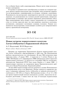 Новые встречи черноголового хохотуна Larus ichthyaetus в Харьковской области