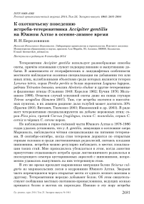 К охотничьему поведению ястреба-тетеревятника Accipiter gentilis на Южном Алтае в осенне-зимнее время