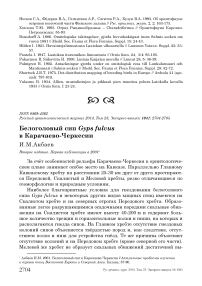 Белоголовый сип Gyps fulvus в Карачаево-Черкесии