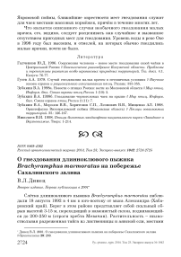 О гнездовании длинноклювого пыжика Brachyramphus marmoratus на побережье Сахалинского залива