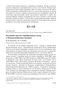 Осенний пролёт прибрежных птиц в Кандалакшских шхерах