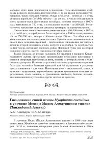 Гнездование синей птицы Myophonus coeruleus в урочище Медео в Малом Алматинском ущелье (Заилийский Алатау)