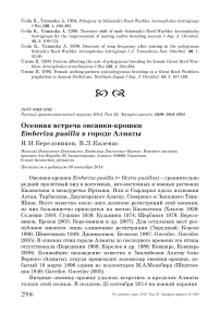 Осенняя встреча овсянки-крошки Emberiza pusilla в городе Алматы