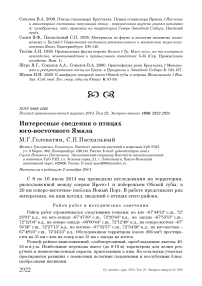 Интересные сведения о птицах юго-восточного Ямала