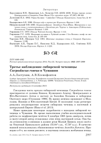 Третье наблюдение сибирской чечевицы Carpodacus roseus в Чувашии