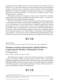 Зимние встречи могильника Aquila heliaca в предгорьях Калбы и Западного Алтая