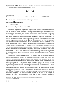 Массовая охота птиц на термитов в лесах Вьетнама