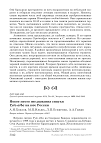 Новое место гнездования сипухи Tyto alba на юге России