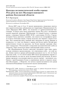Находка меланистической особи сороки Pica pica на юге Малоярославецкого района Калужской области