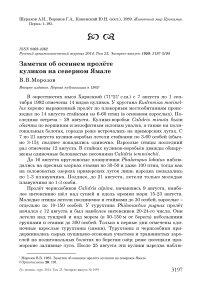 Заметки об осеннем пролёте куликов на Северном Ямале