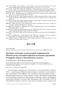 Осеннее питание седоголовой горихвостки Phoenicurus caeruleocephalus плодами крушины Frangula alnus в Заилийском Алатау