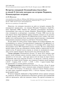 Встречи северной Oceanodroma leucorhoa и сизой O. furcata качурок на острове Беринга, Командорские острова