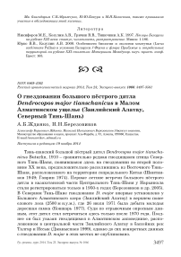 О гнездовании большого пёстрого дятла Dendrocopos major tianschanicus в Малом Алматинском ущелье (Заилийский Алатау, Северный Тянь-Шань)