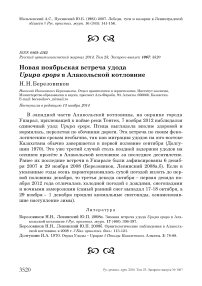 Новая ноябрьская встреча удода Upupa epops в Алакольской котловине