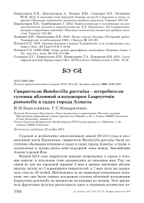 Свиристели Bombycilla garrulus - истребители гусениц яблонной плодожорки Laspeyresia pomonella в садах города Алматы