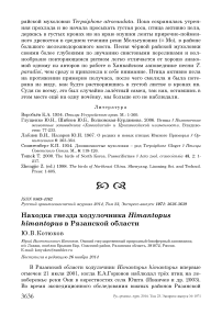 Находка гнезда ходулочника Himantopus himantopus в Рязанской области
