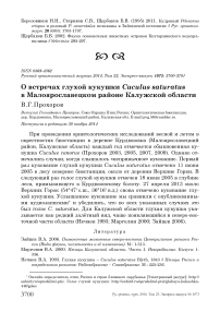 О встречах глухой кукушки Cuculus saturatus в Малоярославецком районе Калужской области