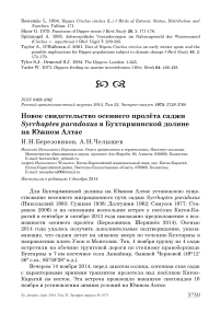 Новое свидетельство осеннего пролёта саджи Syrrhaptes paradoxus в Бухтарминской долине на Южном Алтае