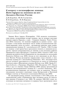 К вопросу о полиморфизме зимняка Buteo lagopus на зимовках на юге Дальнего Востока России