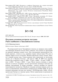 Поздняя осенняя встреча чеглока Falco subbuteo в Заилийском Алатау