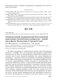 Длинноклювый американский бекасовидный веретенник Limnodromus scolopaceus - новый вид в фауне Казахстана и Средней Азии