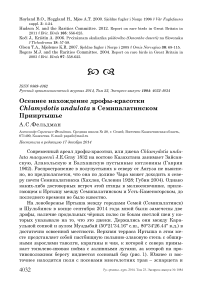 Осеннее нахождение дрофы-красотки Chlamydotis undulata в Семипалатинском Прииртышье