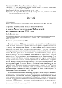 Оценка состояния численности птиц в водно-болотных угодьях Зайсанской котловины в июне 2013 года