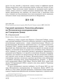 Средний кроншнеп Numenius phaeopus на Печенежском водохранилище на Северском Донце