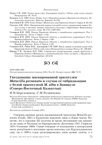 Гнездование маскированной трясогузки Motacilla personata и случаи её гибридизации с белой трясогузкой M. alba в Баянауле (Северо-Восточный Казахстан)